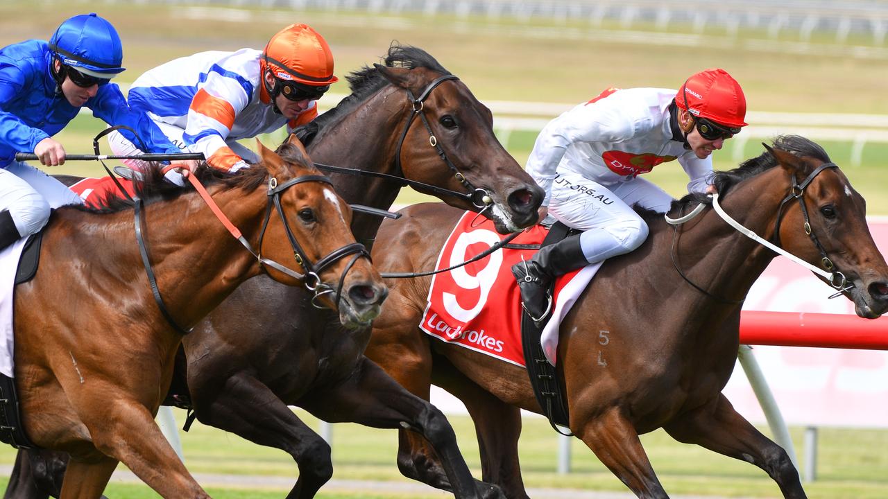 Hey Doc (orange cap) ran third at Sandown on Saturday in his return to the track after 14 months. Picture: AAP