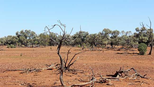 There are some areas of Queensland in their sixth year of drought. Picture: Contributed