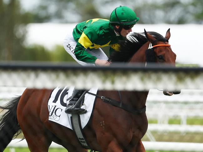 NEWCASTLE, AUSTRALIA - MAY 11: Zac Lloyd riding Semillion wins Race 7 De Bortoli Wines Takeover Target Stakes during "The Coast Raceday" - Sydney Racing at Newcastle Racecourse on May 11, 2024 in Newcastle, Australia. (Photo by Jeremy Ng/Getty Images)