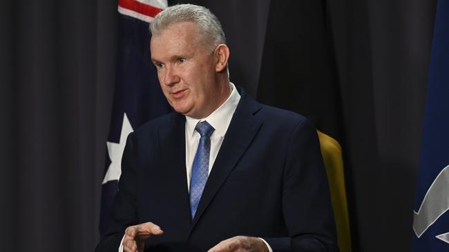 Employment Minister Tony Burke said the lowest paid workers deserved not to get left behind. Picture: NCA NewsWire / Martin Ollman