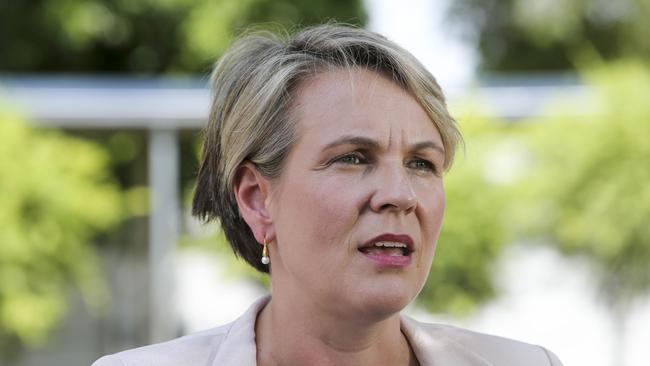 Tanya Plibersek has added fuel to speculation federal Labor will formally oppose the proposed Adani mine in Queensland by saying the more that is revealed about the proposal “the less it stacks up”. Picture: AAP