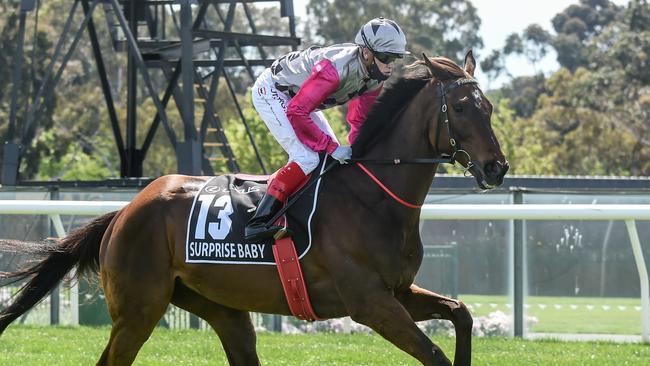 The Cup didn’t pan out as hoped for Craig Williams on Surprise Baby. Picture: Racing Photos via Getty Images