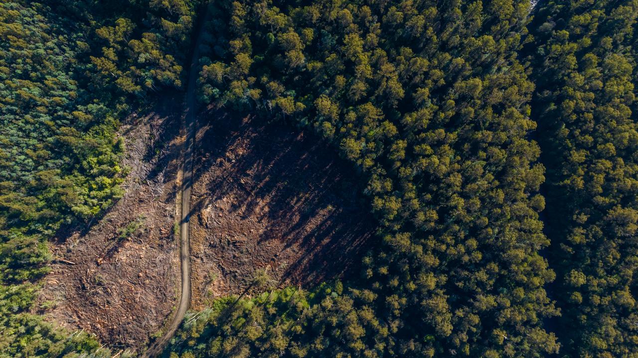 Birds' eye view of logging coupe SX019D, with Styx River to the right of the image. Picture: Wilderness Society Tasmania