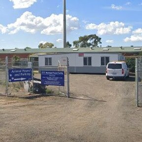 Almost a dozen cats at Melton Pound were set to be euthanised before rescue volunteers intervened. Picture: Supplied