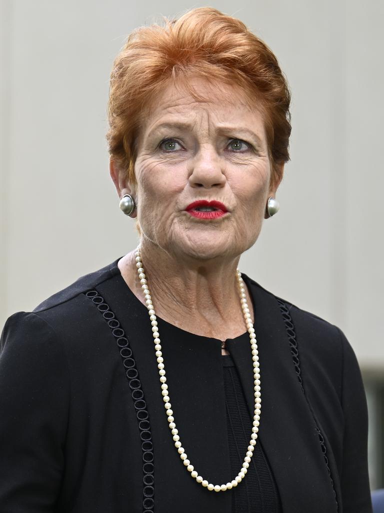 One Nation Leader Pauline Hanson wants to see her daughter replace Tasmanian Senator Jacqui Lambie. Picture: NewsWire / Martin Ollman