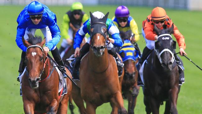 Interlocuter, left, had no luck last start at Rosehill. His record at Randwick is much better. Picture: Jenny Evans