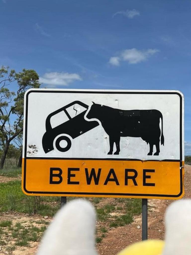 10 Aussie road signs with highest likes via Right2Drive. Picture: Instagram