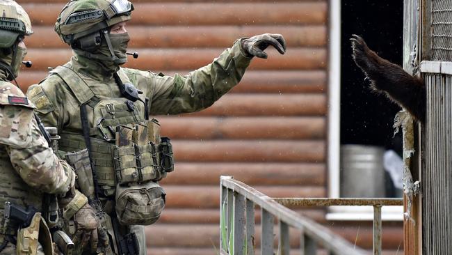 A Russian serviceman interacts with a bear at the zoo in Ukraine's port city of Mariupol on May 18, 2022, amid the ongoing Russian military action in Ukraine. Picture: Olga Maltseva / AFP