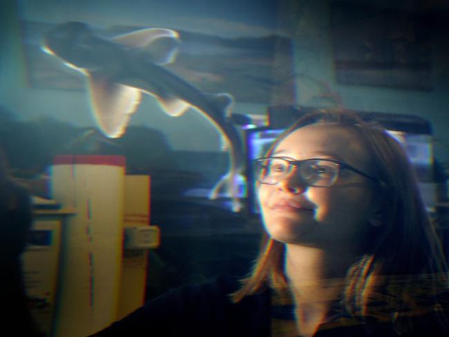 Central Coast Marine Discovery Centre supervisor Sam Kentwell keeps an eye on one of the Port Jackson sharks.