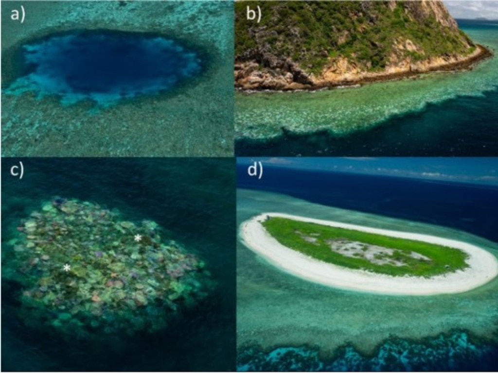 Mid-shelf (b & c) and offshore reefs (a & d) in the Northern GBR that displayed variable levels of bleaching prevalence from No Bleaching (a & d) to extreme (>90% cover bleached; b & c) including recent mortality (indicated by the * symbols in panel c) that is clearly visible from aerial surveys. Image credit: AIMS | Dr Neal Cantin