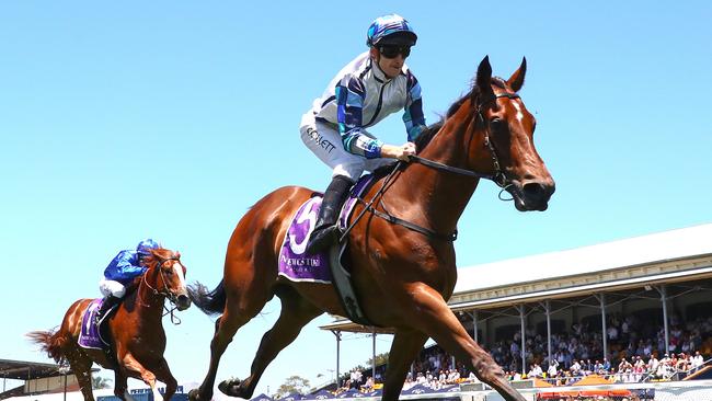 Erno's Cube winning the Max Lees Classic last start. Picture: Jeremy Ng/Getty Images