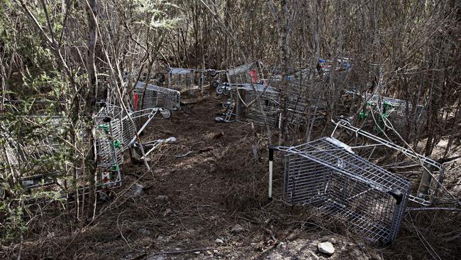 Trolleys have been dumped in Garigal National Park. Picture: Adam Yip.