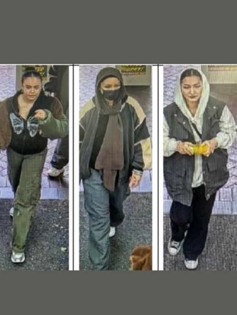 Suspected of stealing cosmetics at Chemist Warehouse in the Central Market on October 31, 2022.