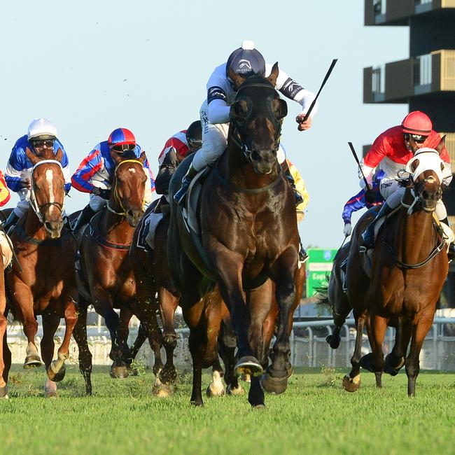 Jonker is the Ladbrokes ‘Lay of the Day’. Picture: Trackside Photography