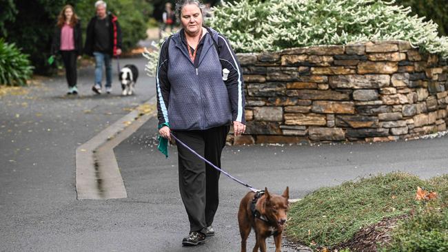 Million Paws Walk at Adelaide Botanic Gardens. Picture: Brenton Edwards