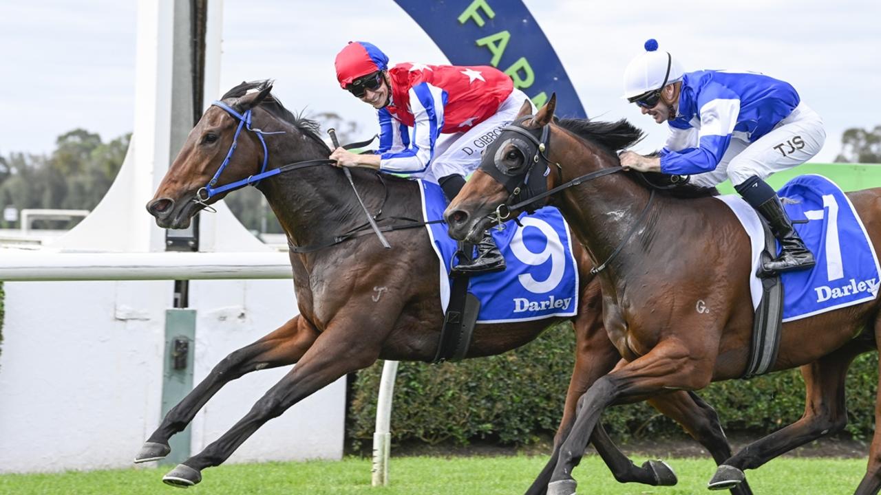 Payne plots Randwick boilover with $61 roughie