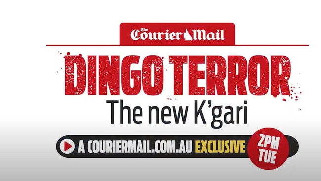 The Courier-Mail's special investigation goes live 2pm Tuesday.