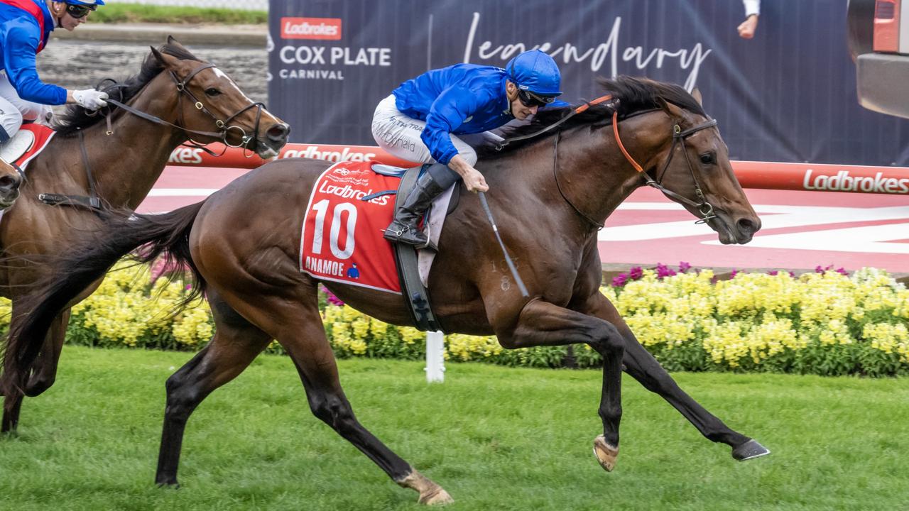 Anamoe is the hot favourite for the Apollo Stakes. Picture: Jay Town-Racing Photos via Getty Images