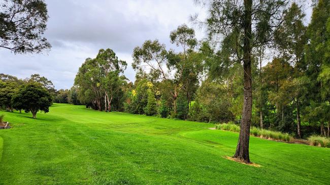 The attack happened at the fifth hole at the Oakleigh Public Golf Course.