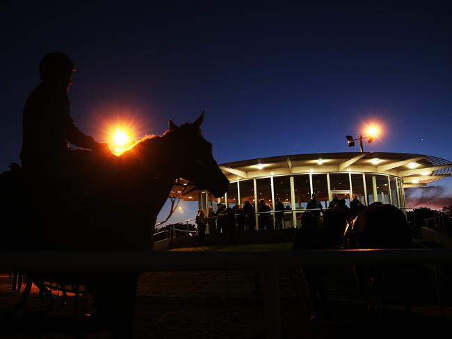 It was business as usual at Randwick trackwork on Monday morning after Sunday's passing of famous trainer Bart Cummings. Picture. Phil Hillyard