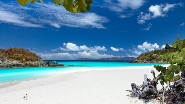 Trunk Bay, US Virgin Islands