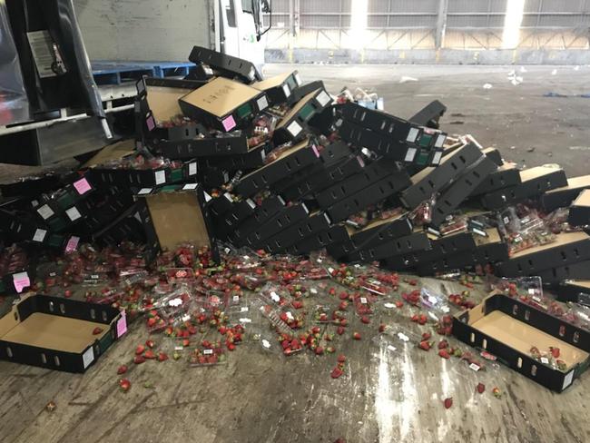 Dumped strawberries at the South Australian Produce Market. Picture: supplied