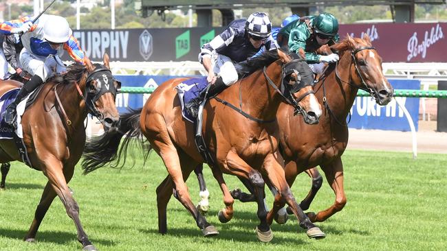 It'sourtime ridden by Billy Egan wins the Standish Handicap at Flemington Racecourse on January 11, 2025 in Flemington, Australia. (Photo by Brett Holburt/Racing Photos via Getty Images)