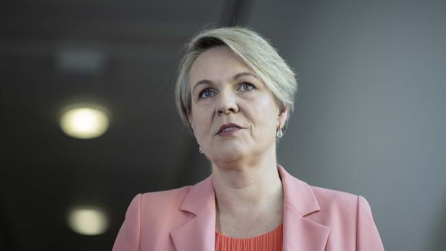 Water market reform will “crack down on the cowboys of the system”, says Federal Water Minister Tanya Plibersek.