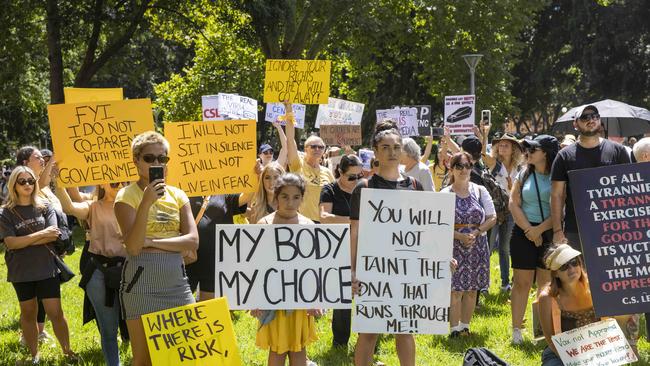 Protesters in Hyde Park. Picture: NCA NewsWire / Jenny Evans