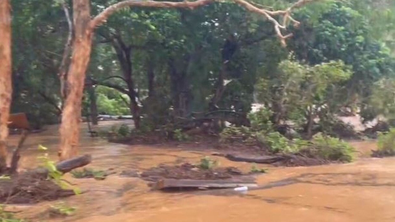 Man Spotted Clinging To Tree During Queensland Flood Au