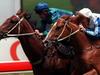 Sprinter’s Roguish charm wins over Spriggs