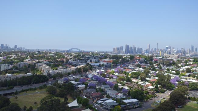 The inner west dotted with purple looking towards the city. Picture: Joshua Hulm