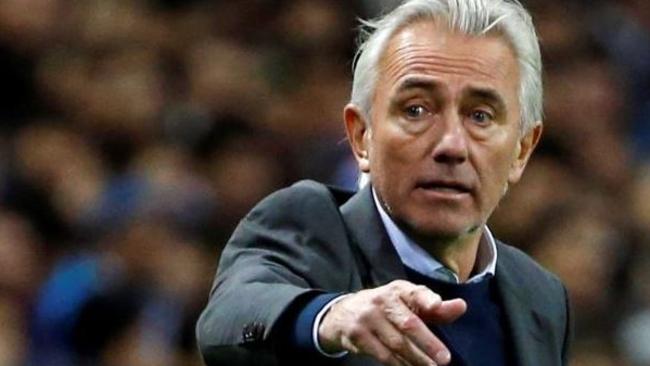 Bert Van Marwijk has a pretty impressive track record.