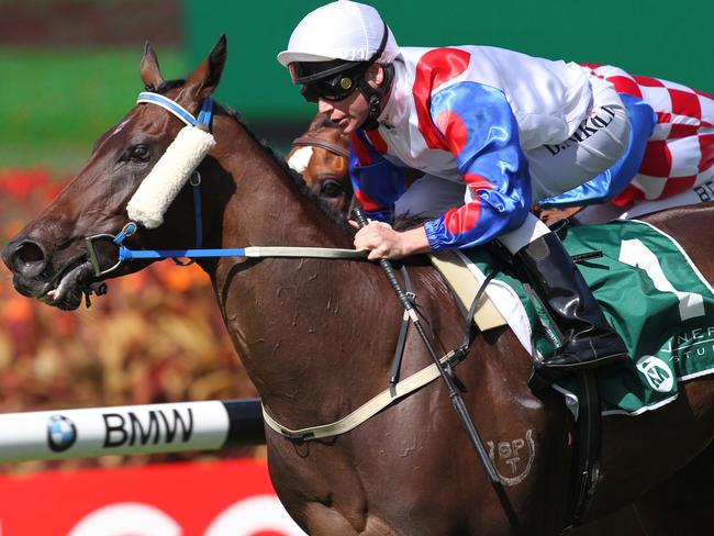 Mosheen, ridden by jockey Danny Nikolic, wins the Vinery Stud Stakes at Rosehill Gardens in 2012.