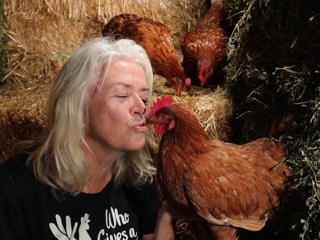 Who gives a cluck? Julie O'Shea, known as the 'crazy hen lady', that's who. Picture Glenn Hampson