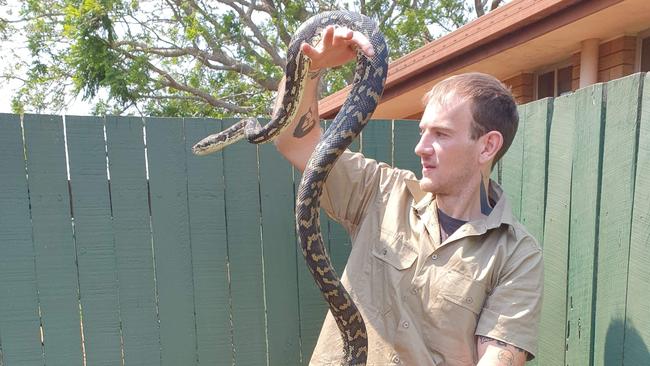 Anthony Adams, snake catcher Toowoomba.