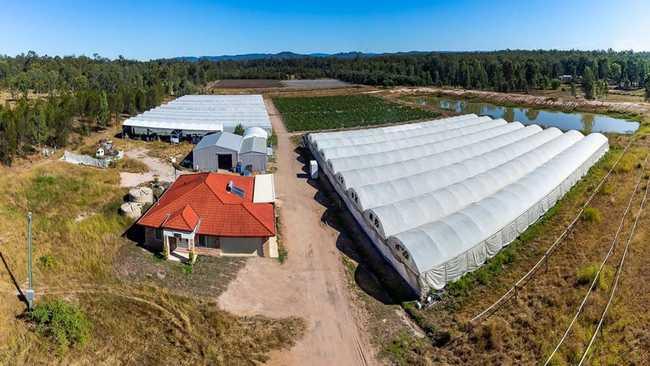 This cucumber farm at 5 Jamieson Road, Churchable, is for sale. Picture: Matthew Newton