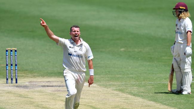 Peter Siddle will finish his career with Tasmania. (AAP Image/Darren England)