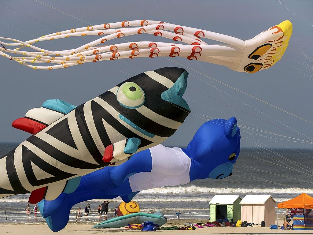 Giant Kites In Amazing Aerial Display 