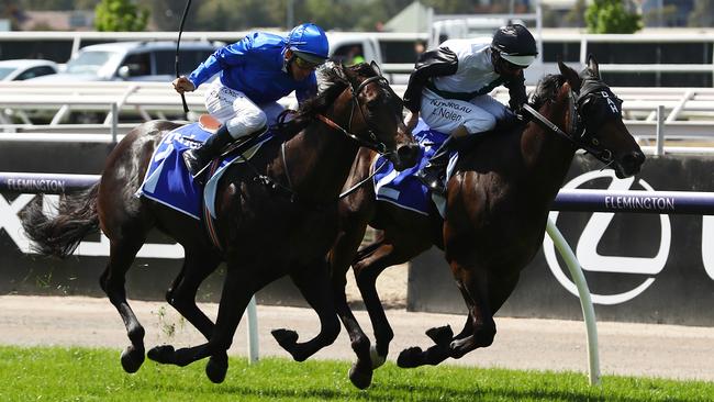 Finance Tycoon (right) wins the Maribyrnong Plate. Picture: Getty Images