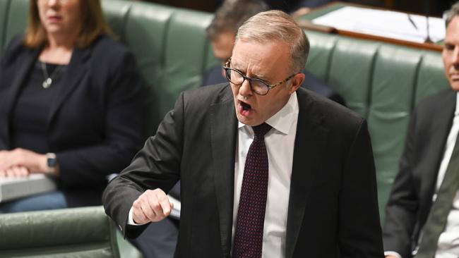 Prime Minister Anthony Albanese during Question Time on Wednesday. Picture: NCA NewsWire / Martin Ollman