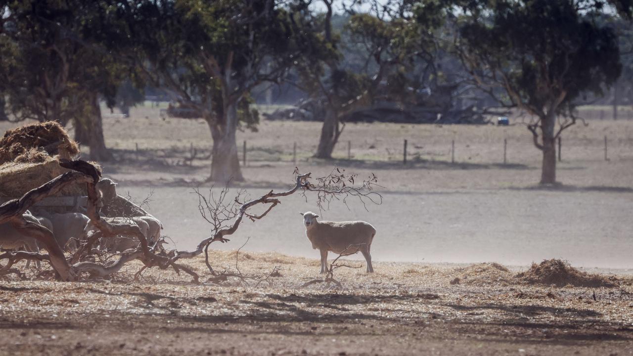 Drought crisis: Australia’s driest towns