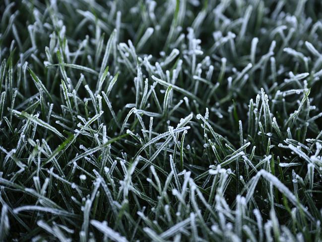 Chilly morning for Dalby residents