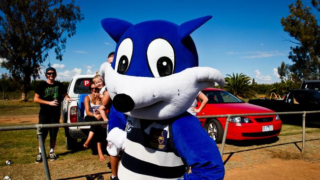 The club’s beloved mascot, Billy the Bush Cat.