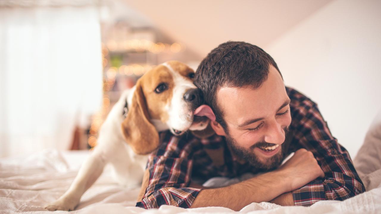 There’s evidence that dogs can understand a fair bit of what we say to them. Picture: iStock