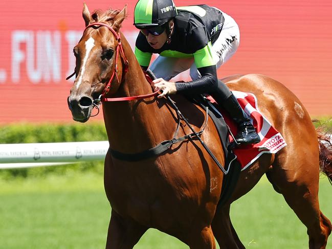 SYDNEY, AUSTRALIA - JANUARY 04: Josh Parr riding Accredited  win Race 4 Toyota Forklifts during Sydney Racing at Royal Randwick Racecourse on January 04, 2025 in Sydney, Australia. (Photo by Jeremy Ng/Getty Images)