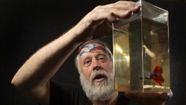 Peter Ford has thousands of fish in tanks and ponds at his home in Brisbane’s north. Picture: Sarah Marshall