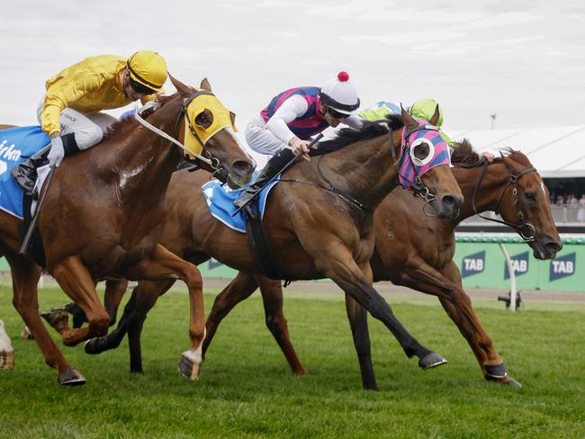 NCA. MELBOURNE. Champion Stakes Day at Flemington Racecourse on November 09, 2024 in Melbourne, Australia.   Race 4. The Cirka Always welcome Stakes.  Winner Rey Magnerio (pink and blue blinkers) holds on to win from Robrick (yellow) and Front Page who dead heated for 2nd  .  Picture: Michael Klein