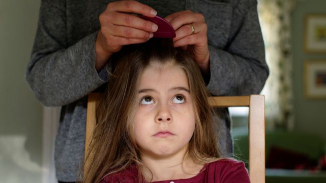 Some children catch head lice more often than others. Image: iStock 