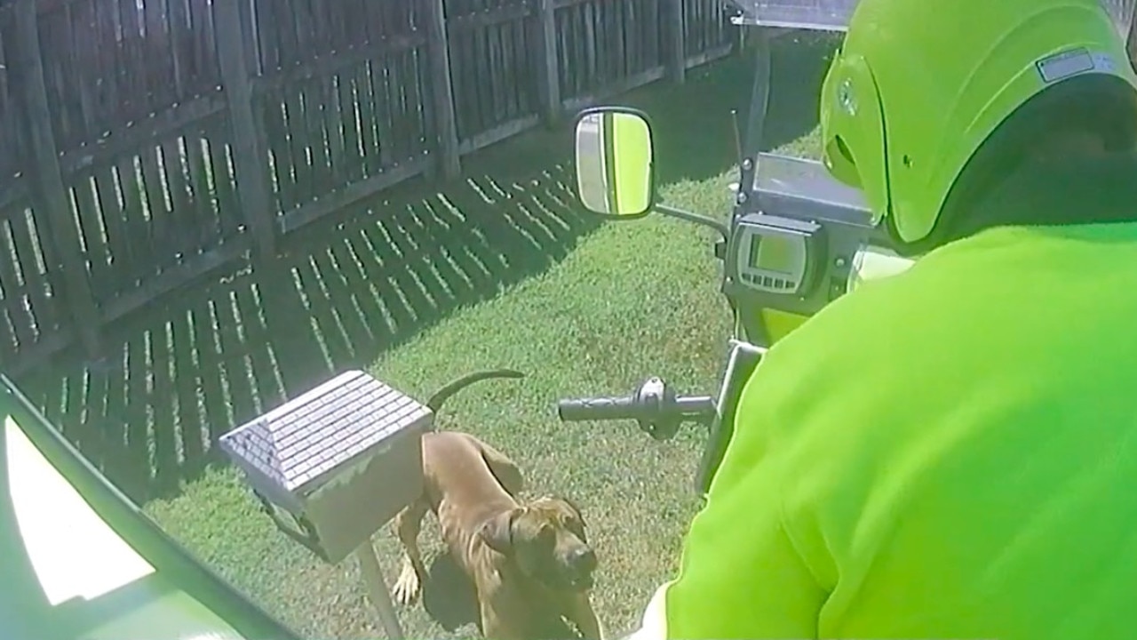 Footage of a postie being threatened by a pooch.